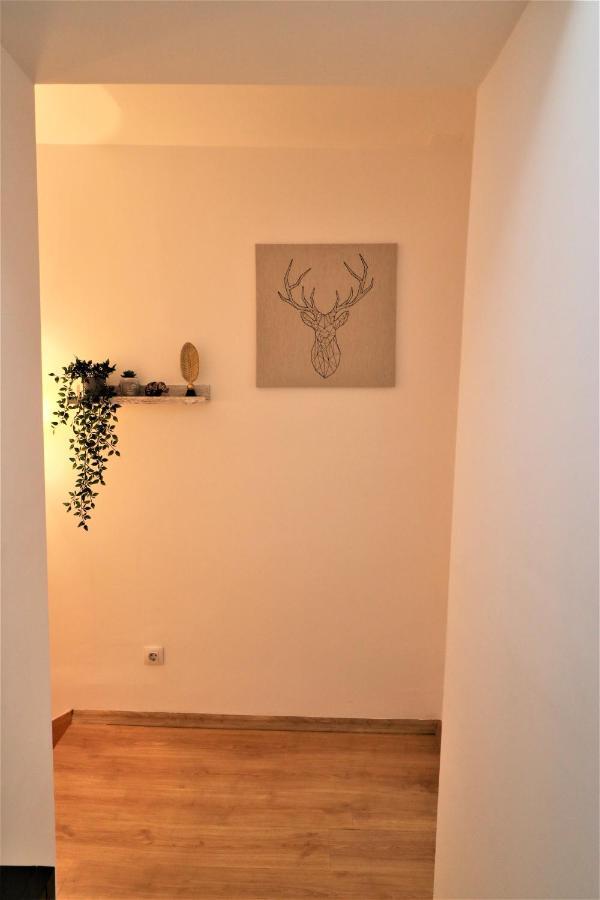 Cozy Old Town Apartment - Free Minibar ブカレスト エクステリア 写真